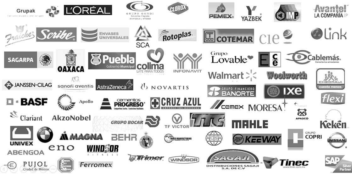 Logotipos de clientes de SAPientia