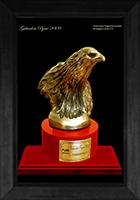 Galardón PYME 2010