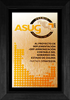 Premio ASUG 2011